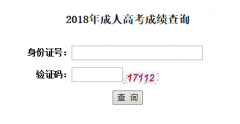 湖北大学成教本科成绩查询