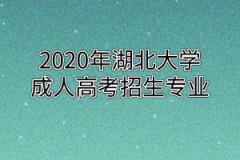 2020年湖北大学成人高考招生专业