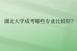 湖北大学成考哪些专业比较好？