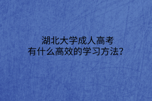 湖北大学成人高考有什么高效的学习方法？