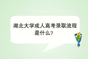 湖北大学成人高考录取流程是什么？